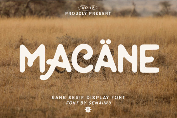 Macane: Vintage Display Fonts for High-Impact Web Design